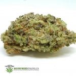 Ghost Train Haze
