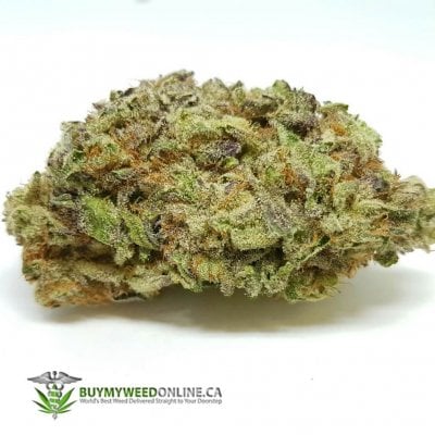 Ghost Train Haze - Sativa Dominant Hybrid