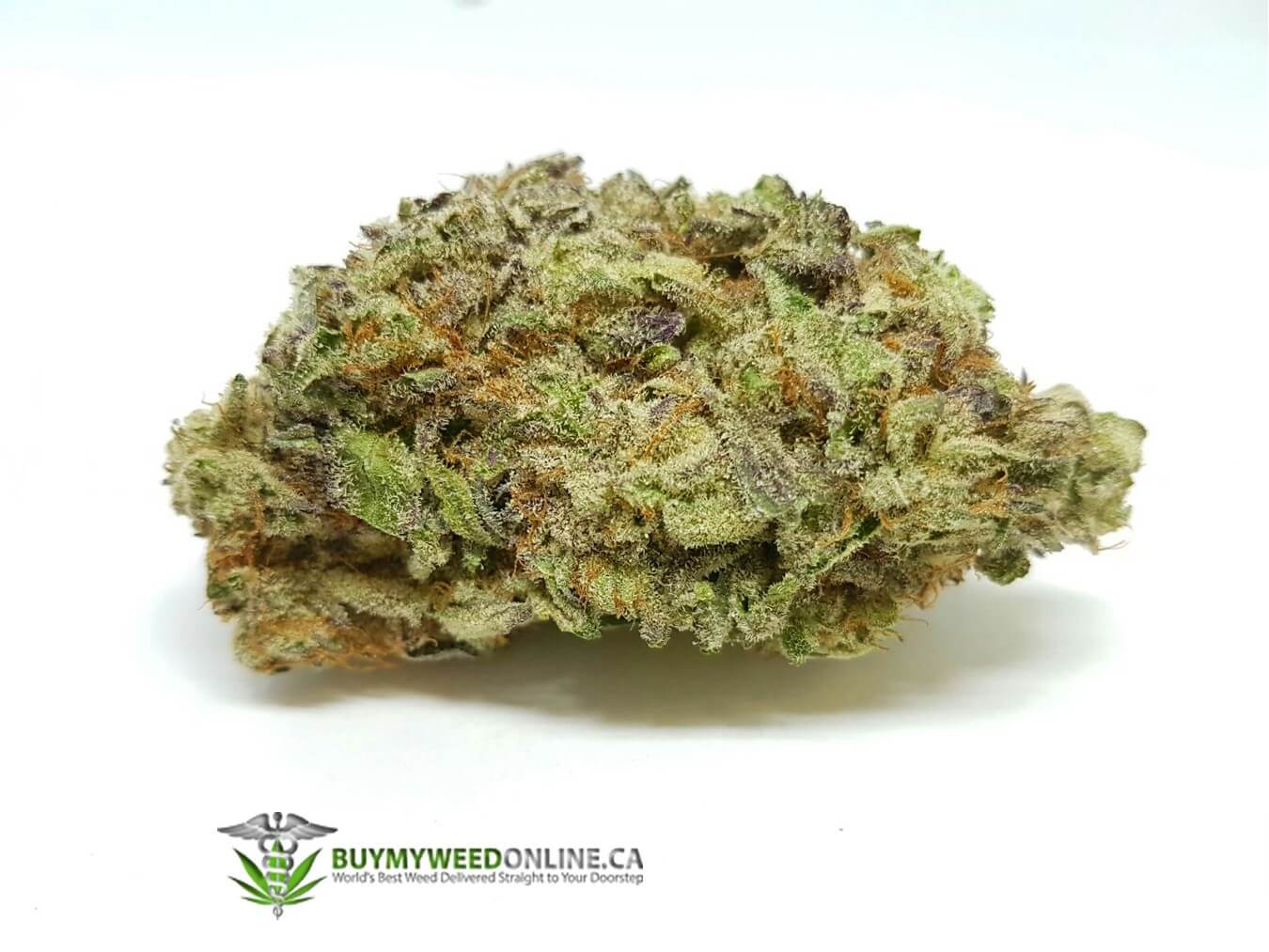 Ghost Train Haze Strain