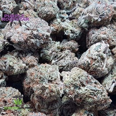 purple rockstar strain - Balanced hybrid