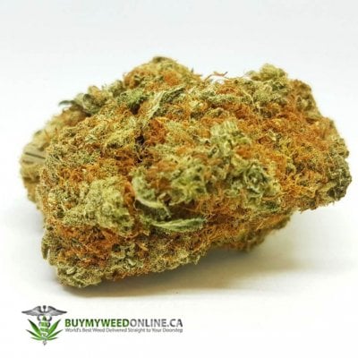 Strawberry Crush - Sativa Dominant Hybrid