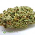 Vanilla Kush