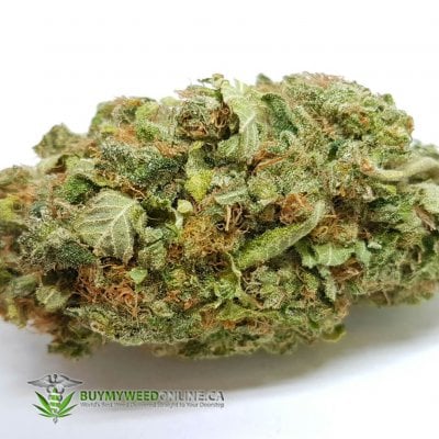 Vanilla Kush - Indica Dominant Hybrid