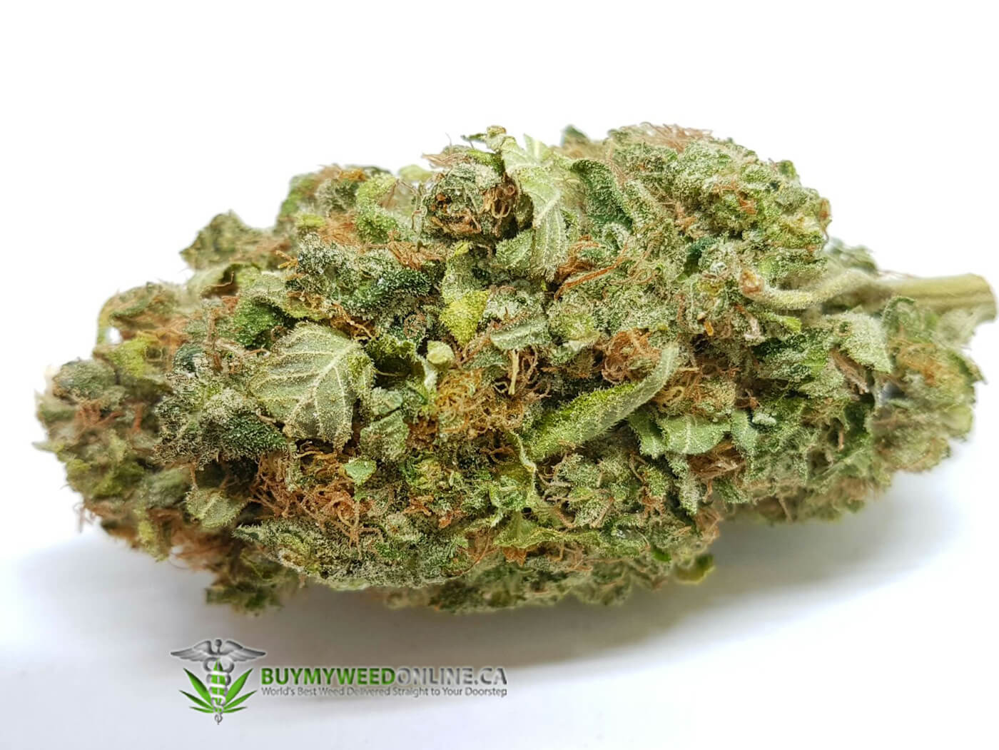 Vanilla Frosting Strain