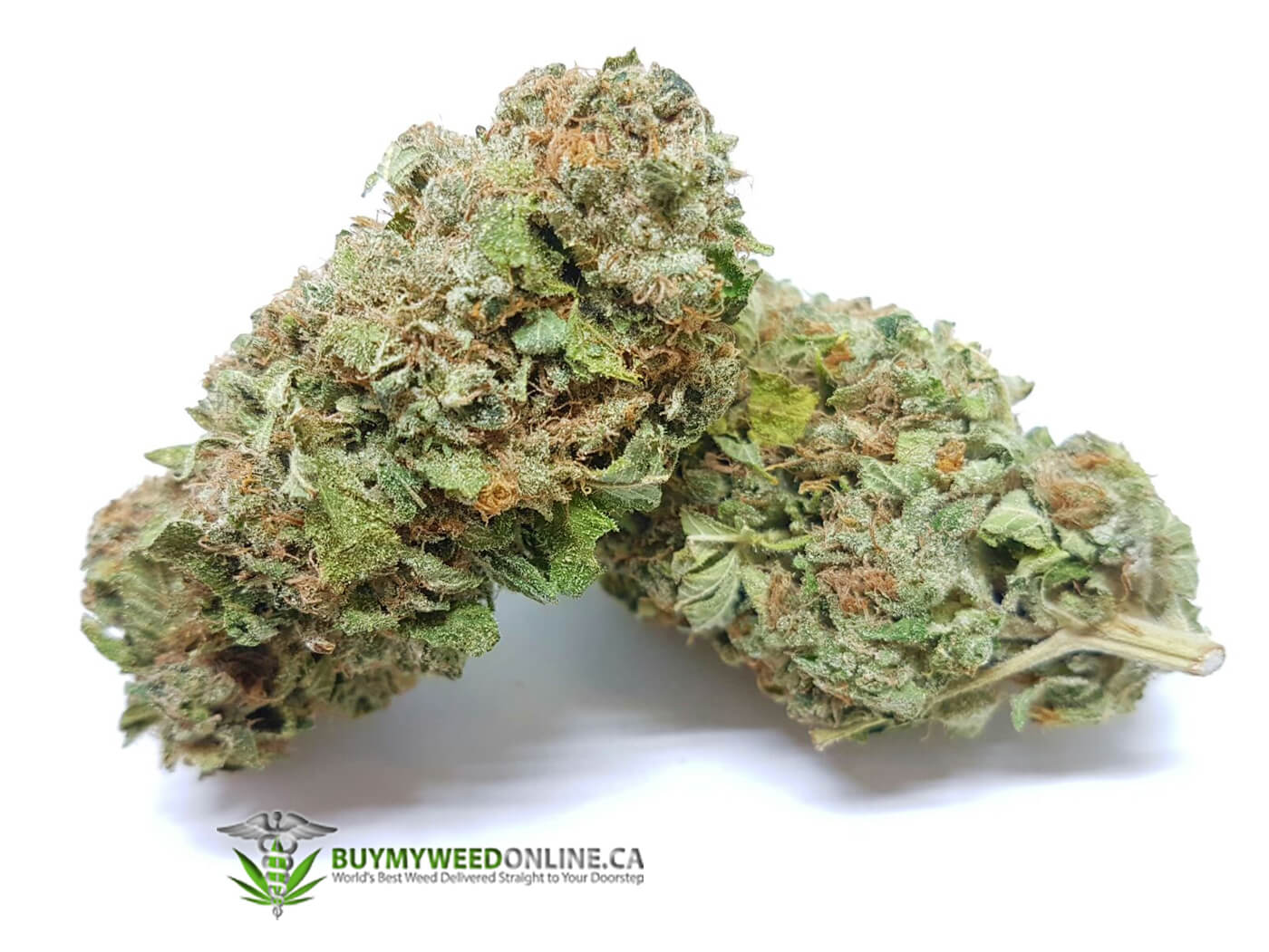 Premium Vanilla Kush Weed