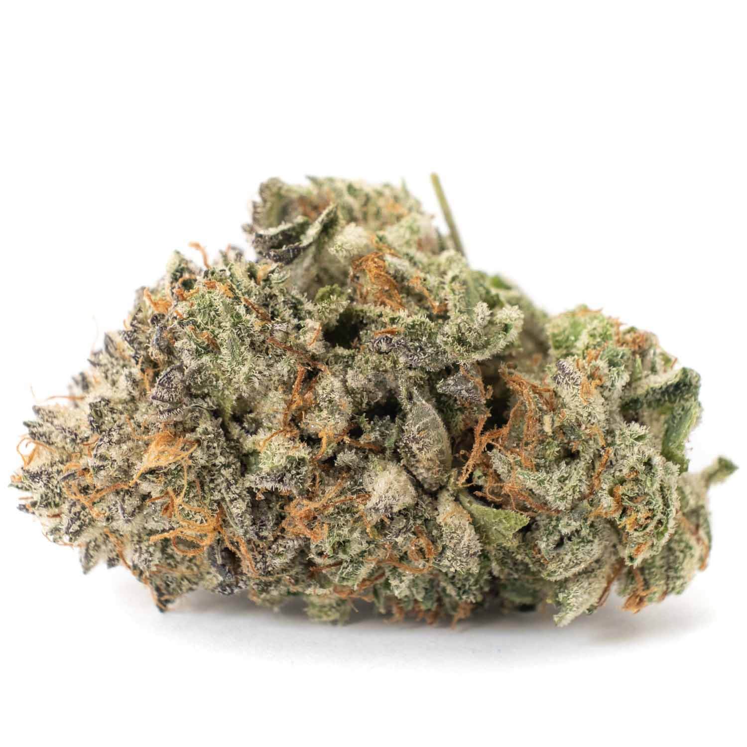 OG Kush Strain