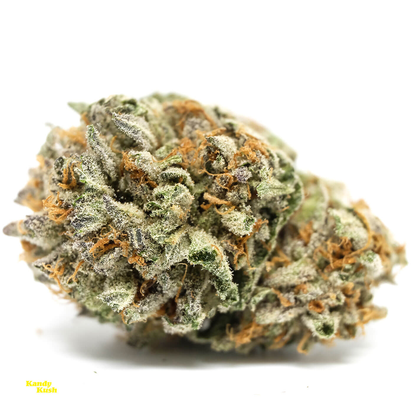 Kandy Kush - hybrid strain