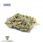 Durban Poison
