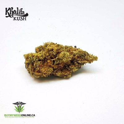 Khalifa Kush - Indica Dominant Hybrid