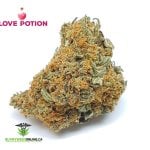 Love Potion #9