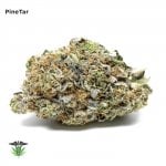 Pine Tar Kush