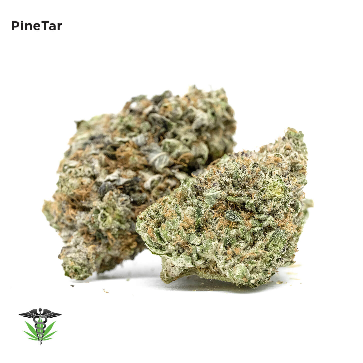 Buy Pine Tar Kush online - potent indica strain