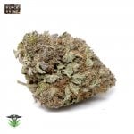 Black Rhino