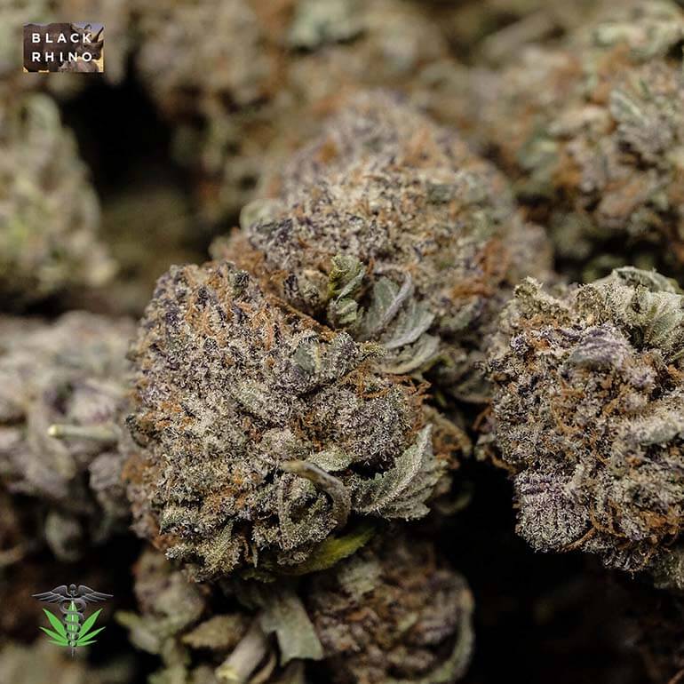 Buy Black Rhino Weed Online - Top Quality Strain