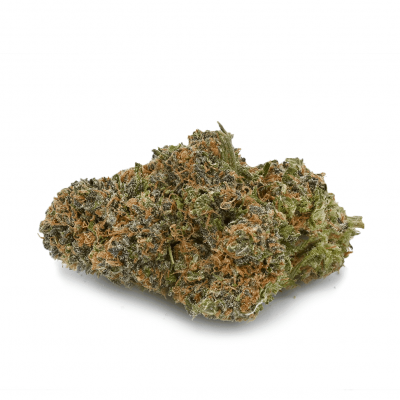 Purple God - Indica Dominant Hybrid strain