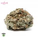 Pink Tuna