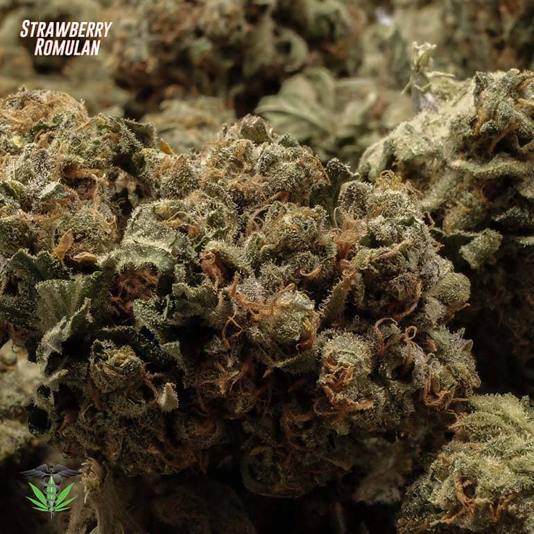 Close-up of Strawberry Romulan marijuana buds