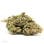 Master Kush