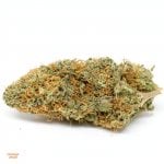 Orange Haze
