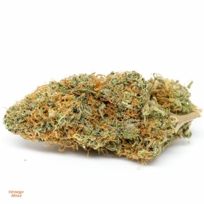 Orange Haze - Sativa Dominant Hybrid