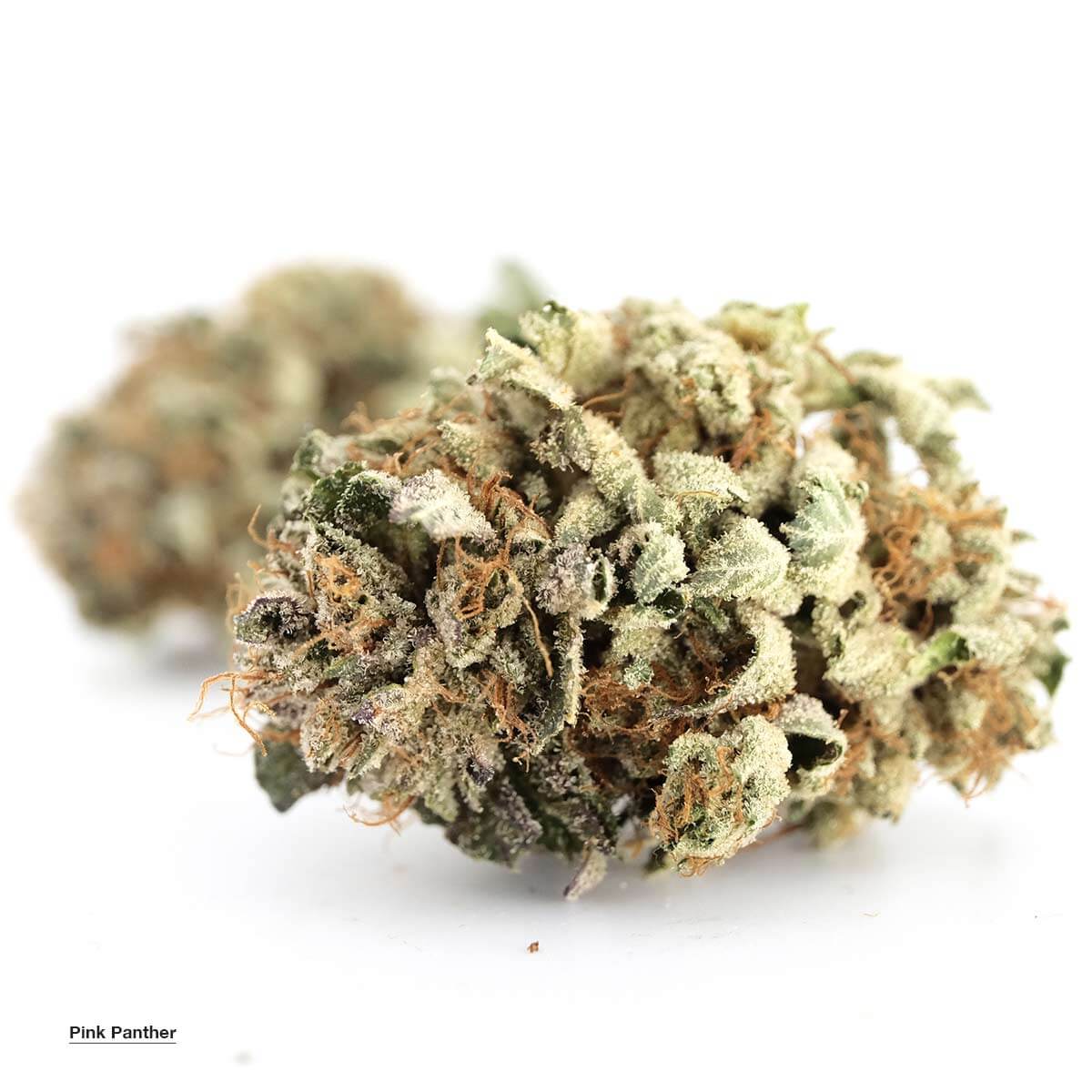 Buy Pink Panther Cannabis Online