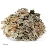Jack Herer