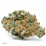 Mystery Kush