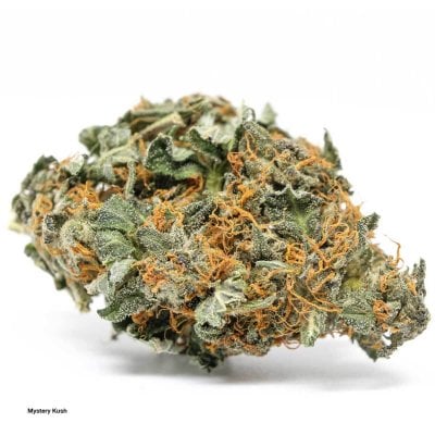 mystery kush strain - Indica Dominant Hybrid