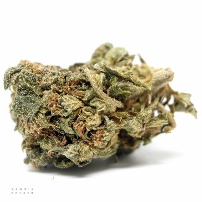 Lamb's Breath - Sativa Dominant Hybrid
