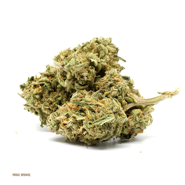 Maui Wowie Strain