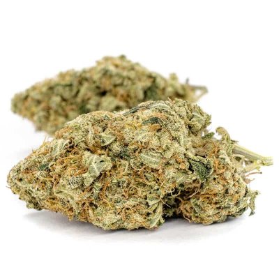 Super Skunk cannabis strain