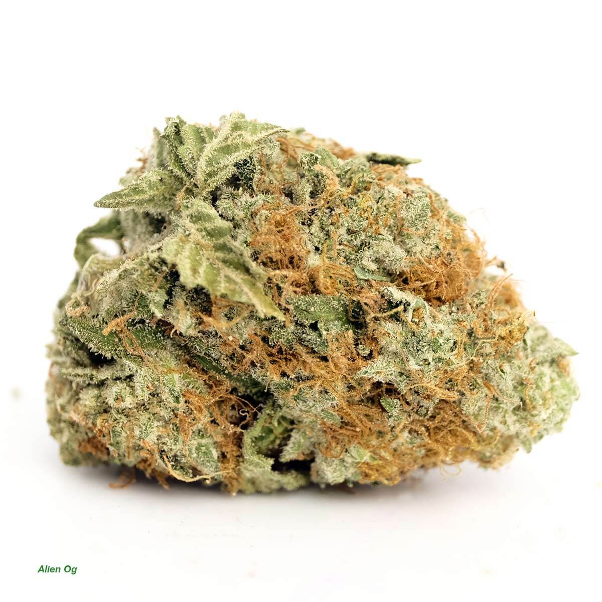 Alien Cookies Strain