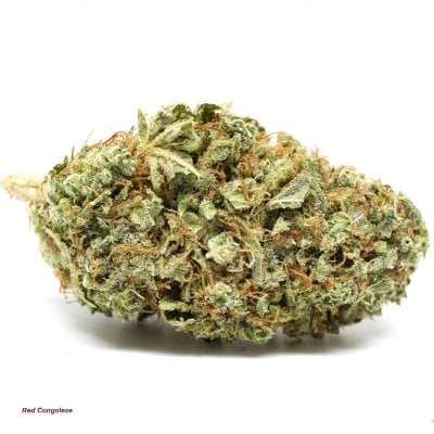 Red Congolese - Pure Sativa Strain