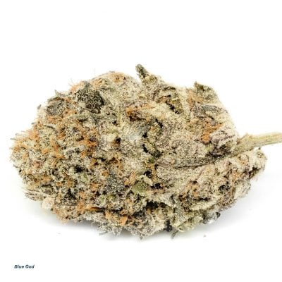 Blue God - Indica Dominant Hybrid strain