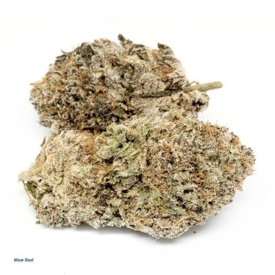 Blue God strain cannabis buds