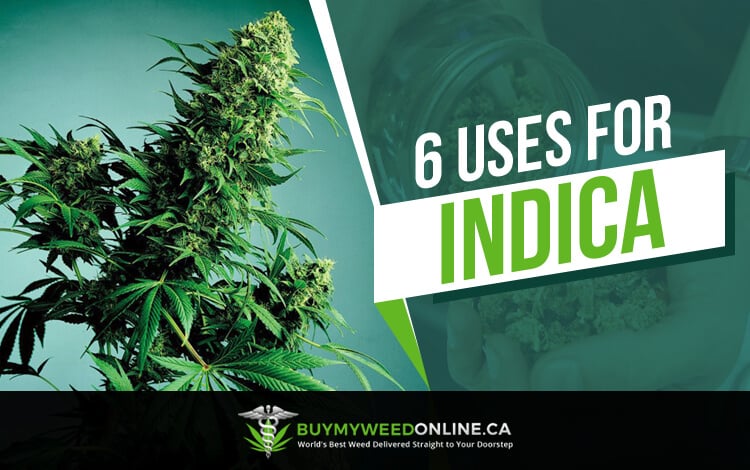 Indica Cannabis Strains