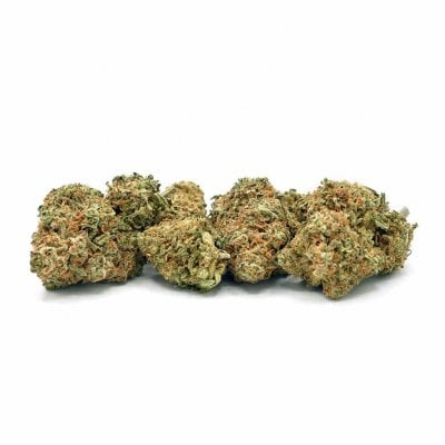High-THC Blueberry weed buds for relaxation