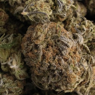 Blueberry Pie cannabis strain close-up