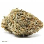 Gorilla Cookies