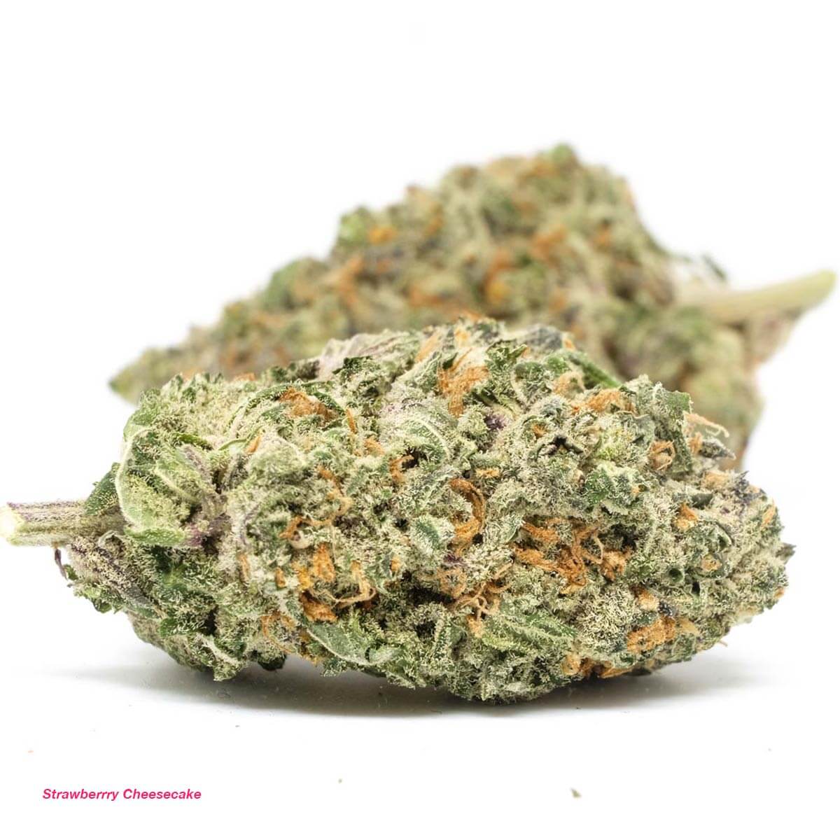 Strawberry Cheesecake hybrid cannabis
