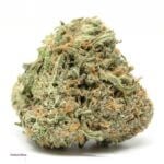 Critical Mass