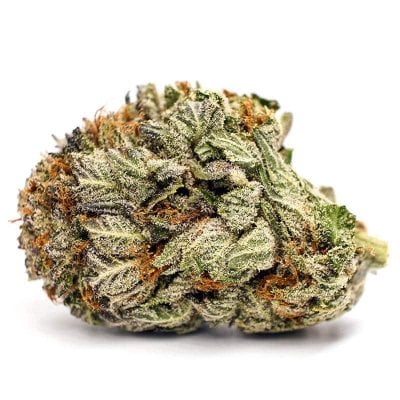 Purple Kush - Pure Indica