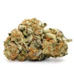 Zombie Kush