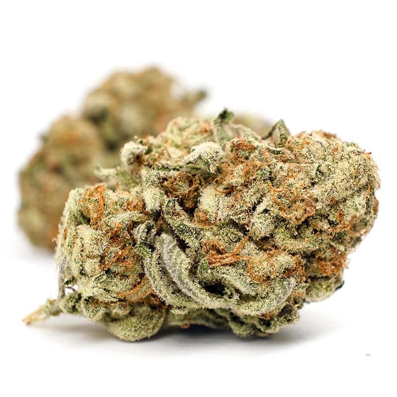 Indica-dominant Zombie Kush strain for sale
