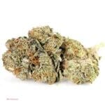 Pink Rockstar