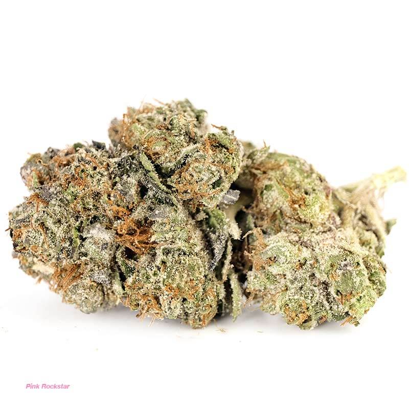Pink Rockstar Strain
