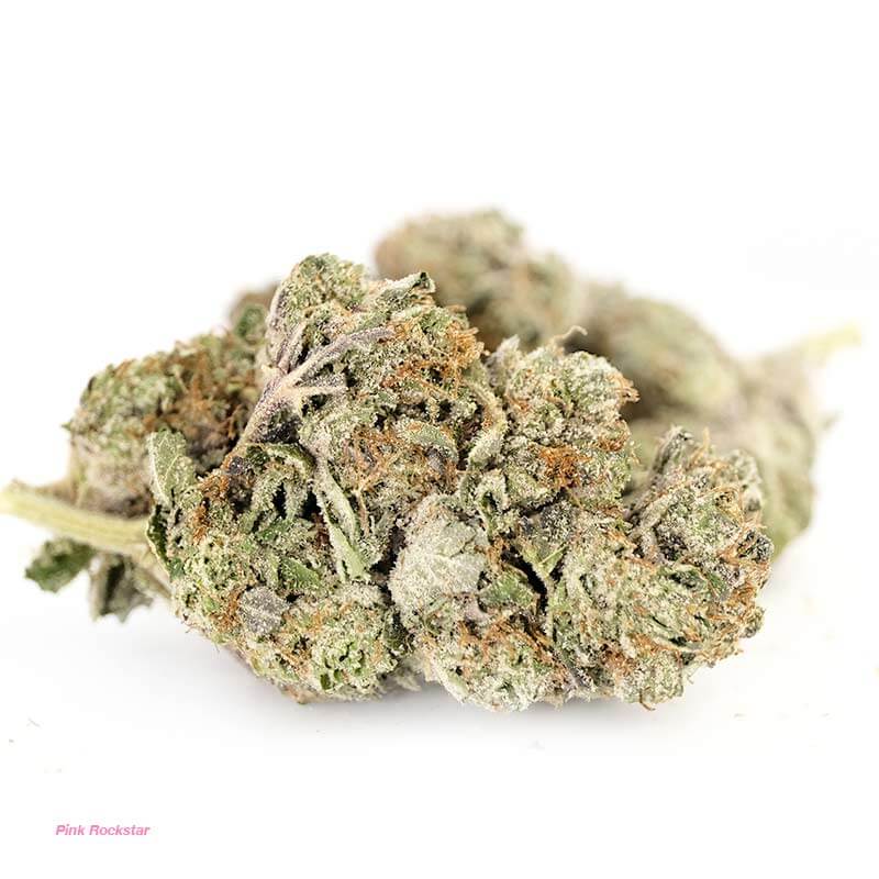 Pink Rockstar Marijuana - Top-Quality Strain