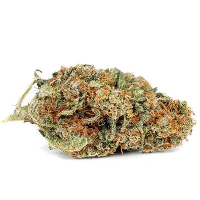 Orange Crush - Sativa Dominant Hybrid