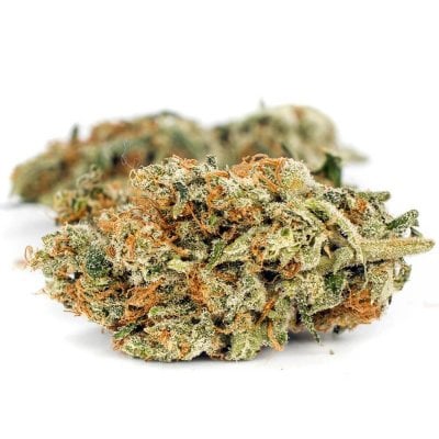Orange Crush Cannabis Strain