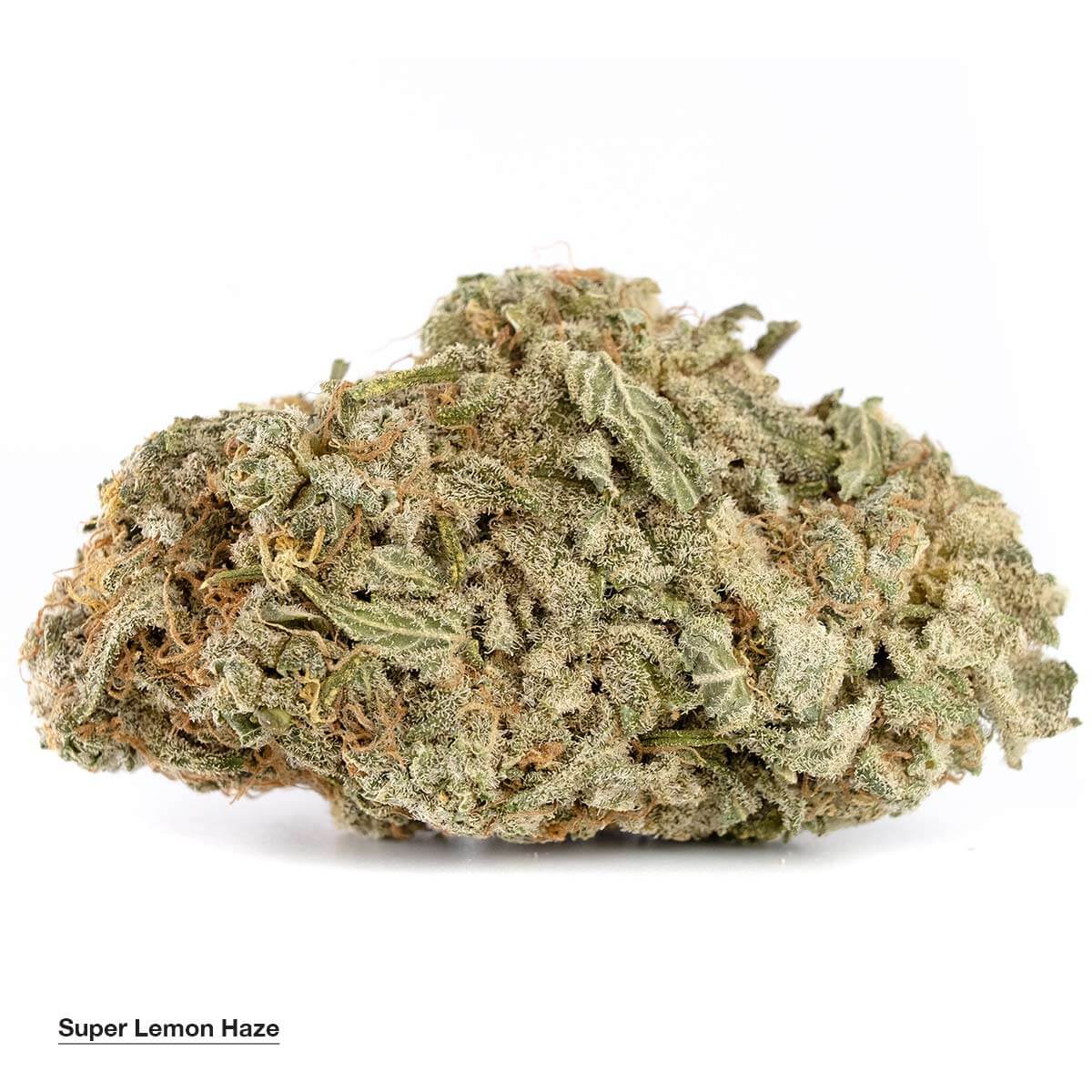 Super Lemon Haze Strain